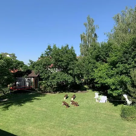 Rybarska Basta - A Bungalovy - Nechranicka Prehrada Campsite *